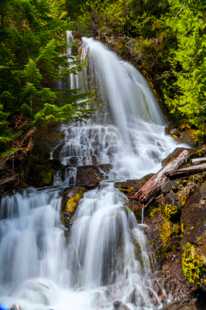 Waterfall in Mt. Rainier-7303.jpg
